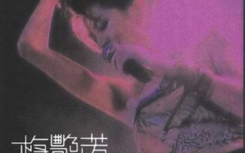 梅艳芳歌曲:将冰山劈开歌词