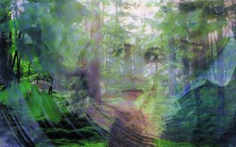 Secret Garden歌曲:Chaconne歌词