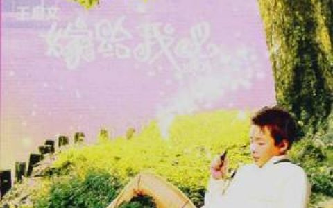 王启文歌曲:老鼠爱大米歌词
