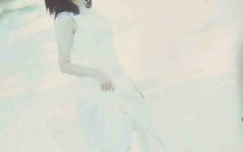 万芳歌曲:新不了情歌词