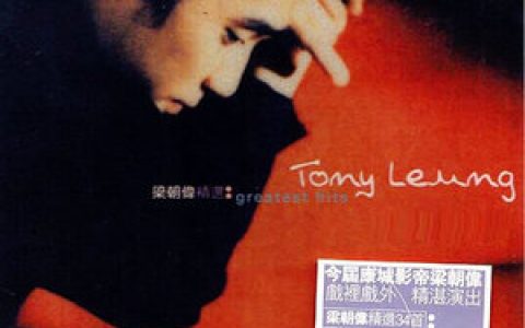 梁朝伟歌曲:一天一点爱恋歌词