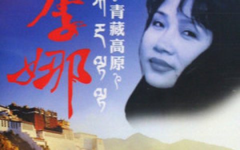 李娜歌曲:走进西藏歌词