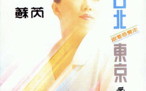 苏芮歌曲:跟着感觉走歌词