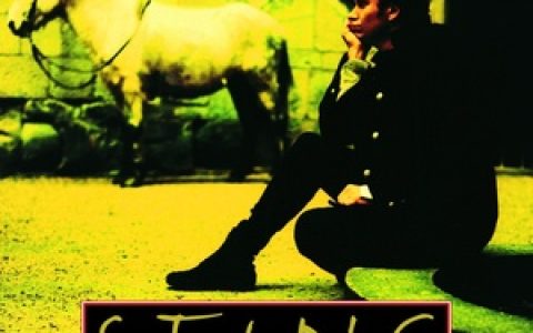 Sting歌曲:Shape of my heart歌词