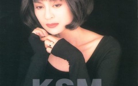 高胜美歌曲:盼望歌词
