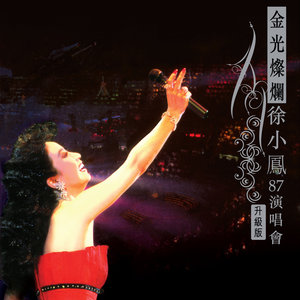 徐小凤歌曲:婚纱背后歌词