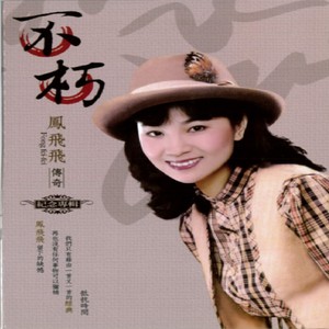 凤飞飞歌曲:雁儿在林梢歌词
