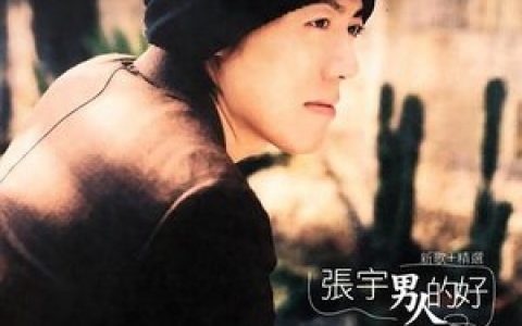张宇歌曲:趁早歌词