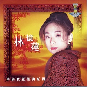 林忆莲歌曲:爱上一个不回家的人歌词