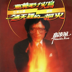 高凌风歌曲:燃烧吧!火鸟歌词