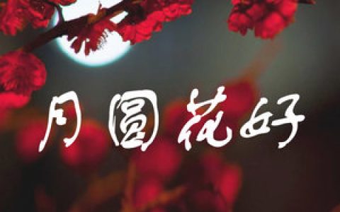 邓丽君歌曲:月亮代表我的心歌词