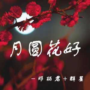 邓丽君歌曲:月亮代表我的心歌词