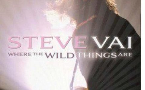 Steve Vai歌曲:Tender Surrender歌词