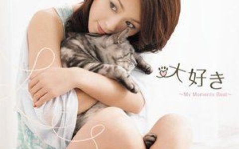 酒井法子歌曲:すすめ!はっくしょんベイビー歌词