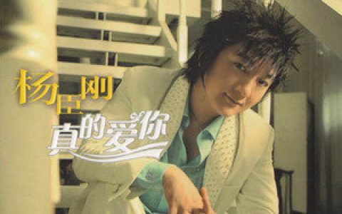 杨臣刚歌曲:人潮人海歌词