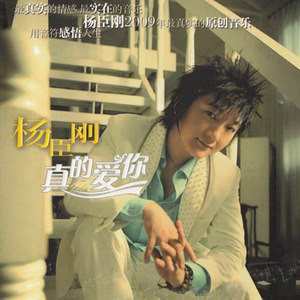 杨臣刚歌曲:男人立起来歌词