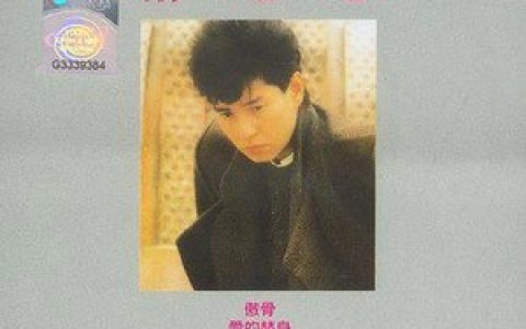 谭咏麟歌曲:爱火歌词