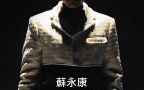 苏永康歌曲:失眠歌词