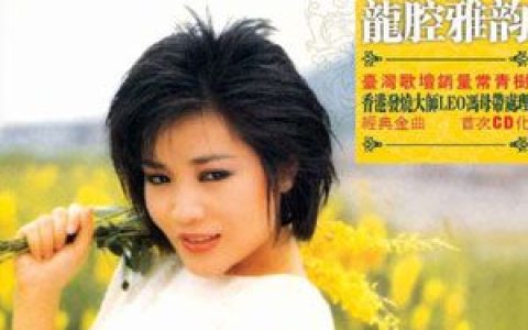 龙飘飘歌曲:晚风歌词