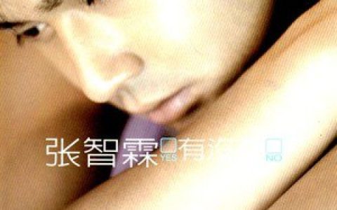 张智霖歌曲:我不在乎歌词