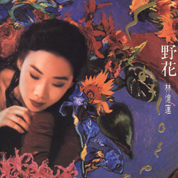 林忆莲歌曲:蔷薇之恋歌词