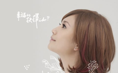 梁静茹歌曲:不是我不明白歌词