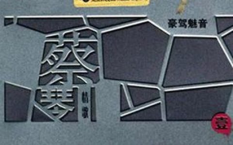 蔡琴歌曲:痴痴的等歌词