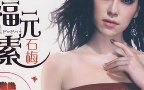 石梅歌曲:你说会爱我一辈子歌词