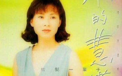 林慧萍歌曲:情难枕歌词