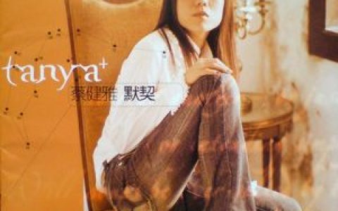 蔡健雅歌曲:可以爱你真好歌词