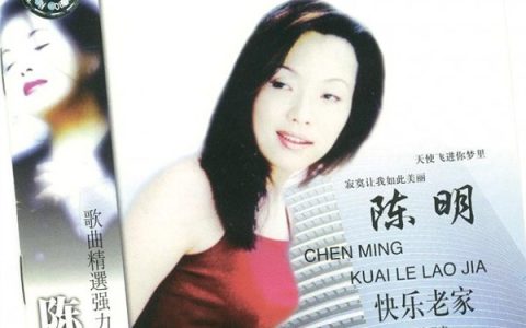 陈明歌曲:轻轻的海风我的心歌词