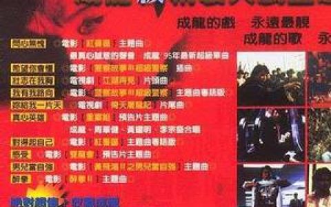 成龙歌曲:真心英雄歌词