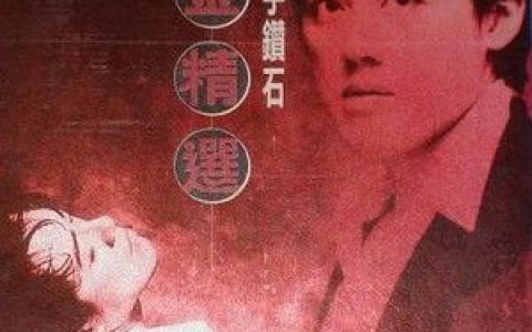 张宇歌曲:单恋一枝花歌词
