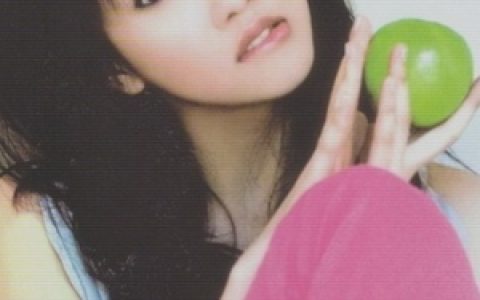 弦子歌曲:无可取代歌词