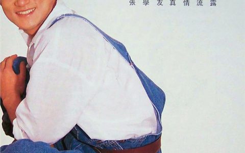 张学友歌曲:红叶舞秋山歌词
