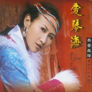 央金兰泽歌曲:月光下的情思歌词