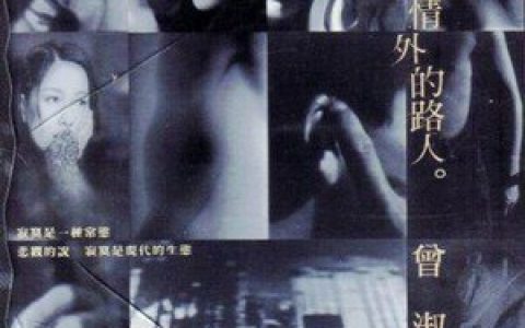 曾淑勤歌曲:有意无意歌词