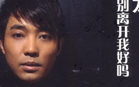 黑龙歌曲:别离开我好吗歌词