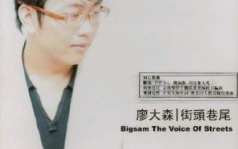 廖大森歌曲:街头巷尾 (Album Version)歌词
