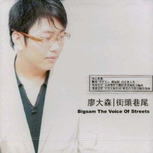 廖大森歌曲:街头巷尾 (Album Version)歌词