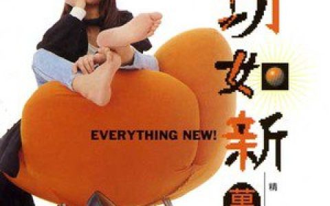 万芳歌曲:爱上你给的痛歌词