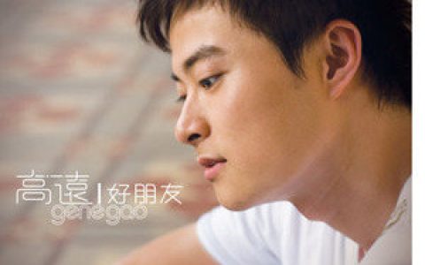 高远歌曲:太遥远歌词