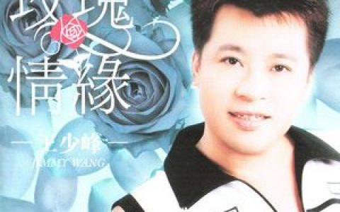 王少峰歌曲:理所当然歌词