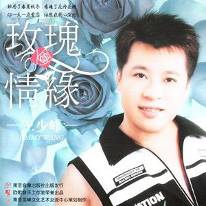王少峰歌曲:理所当然歌词