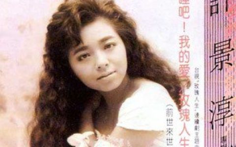 许景淳歌曲:玫瑰人生歌词