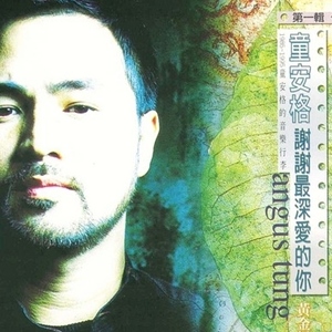 童安格歌曲:把爱放在心里歌词