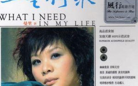 曼里歌曲:寻爱歌词