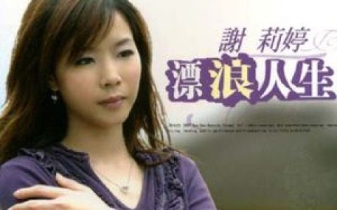 谢莉婷歌曲:漂浪人生歌词