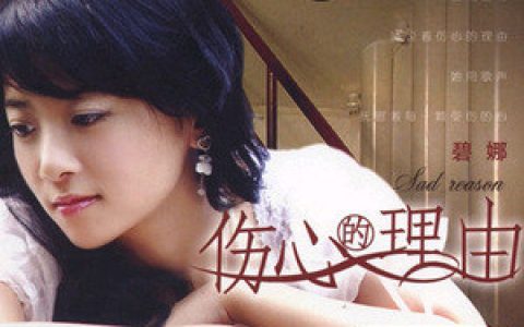 碧娜歌曲:不要用我的爱来伤害我歌词