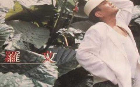 罗文歌曲:尘缘歌词